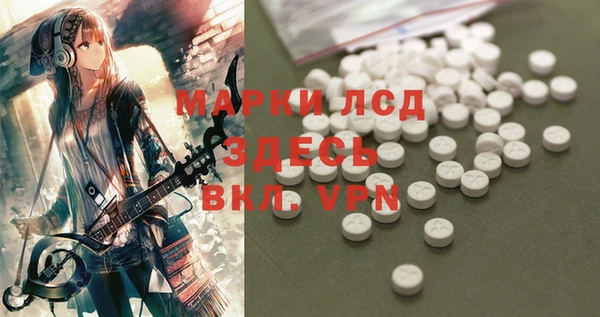 ПСИЛОЦИБИНОВЫЕ ГРИБЫ Баксан