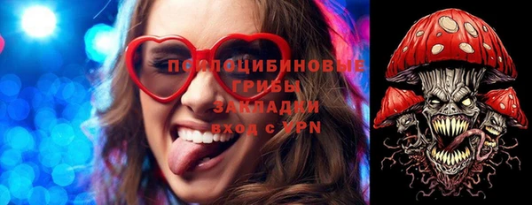 ПСИЛОЦИБИНОВЫЕ ГРИБЫ Баксан
